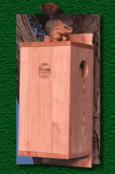 squirrelhouse